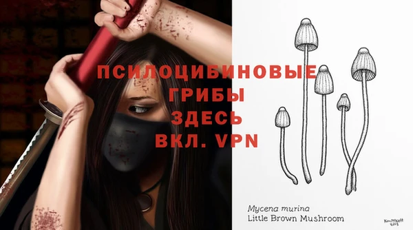 индика Покров