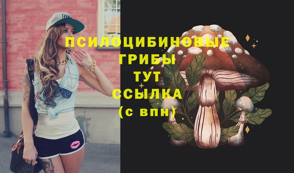 apvp Белоозёрский